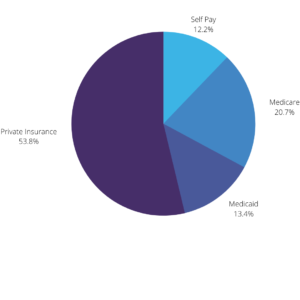 Payer Mix Pie Chart