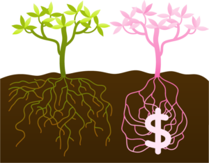 sustainable patient growth