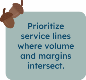Prioritize service lines where volume and margins intersect.